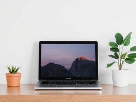 ViralTips Online: Your Ultimate Guide to Trending Content and Practical Tips