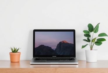 ViralTips Online: Your Ultimate Guide to Trending Content and Practical Tips